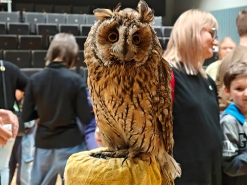 Noc sów 2026 Zapolice, 